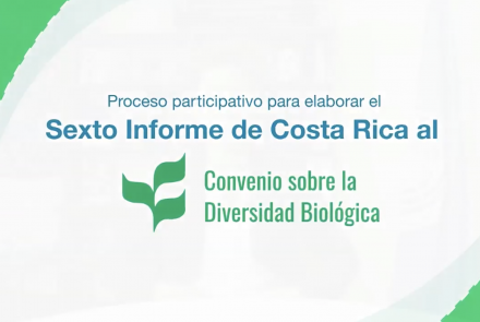 Invitación Sexto Informe al Convenio sobre la Diversidad Biológica